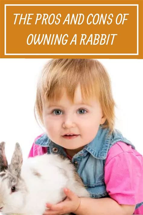 reddit rabbits|owning a pet rabbit.